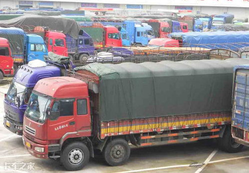 新規(guī)從嚴(yán)！道路貨物運(yùn)輸從業(yè)人員違規(guī)或面臨五萬元罰款起